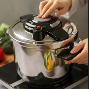زودپز دوقلو 4و6 لیتری تکنو